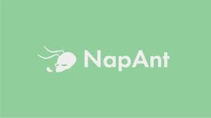 NapAnt