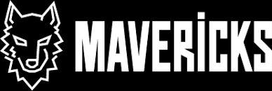 株式会社マーべリックス